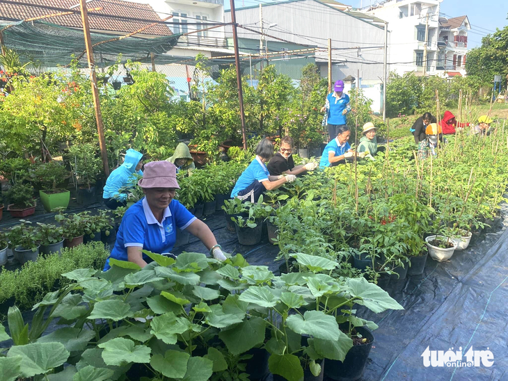 Biến bãi rác thành công viên - Ảnh 1. Một khu đất tại đường số 13, phường Cát Lái (TP Thủ Đức, TP.HCM) trước đây là một bãi rác lớn nằm giữa khu dân cư. Sau khi được cải tạo, khu đất này đã trở thành vườn rau, khu vui chơi cho các em nhỏ - Ảnh: Hội Liên hiệp phụ nữ phường Cát Lái