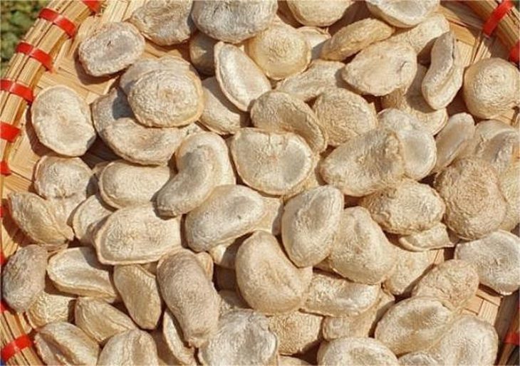 hat-sang-1735978937582925322660 Cảnh báo về việc sử dụng bột hạt sang điều trị bệnh dạ dày, đại tràng - Ảnh 1.