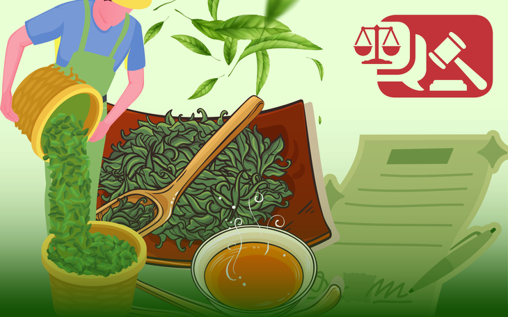 Đăng ký kinh doanh cho gia đình gồm những thủ tục gì? - Ảnh 1. Sản xuất trà với quy mô nhỏ có thể đăng ký hộ kinh doanh - Đồ họa: NGỌC THÀNH