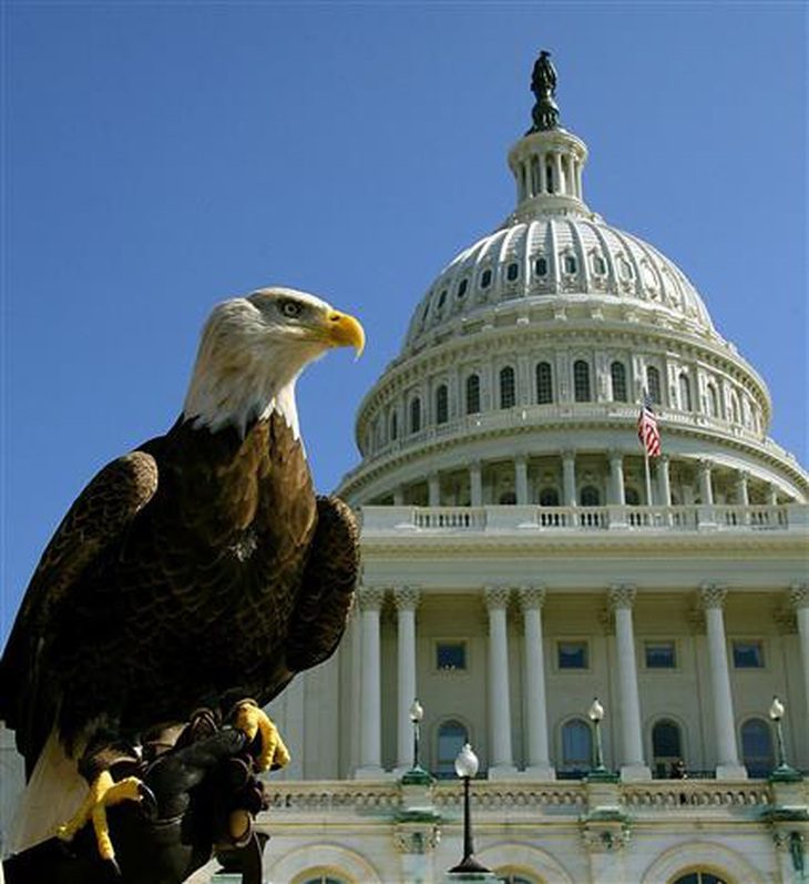 daibang-25-12-1735171200392291947140 Mất 248 năm đại bàng đầu trắng mới được luật hóa trở loài chim quốc gia của Mỹ - Ảnh 1.